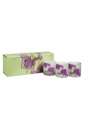 Designers Guild - Coffret de 3 bougies parfumées Iris